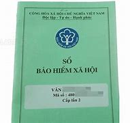 Cách Tra Thông Tin Bảo Hiểm Xã Hội